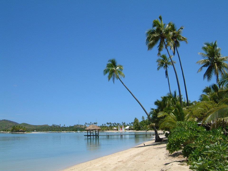 Oasis Pool Villa - Musket Cove Resort - Fiji Malololailai Dış mekan fotoğraf